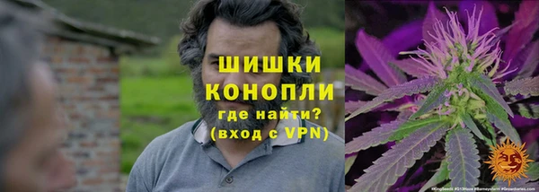 СК Магадан