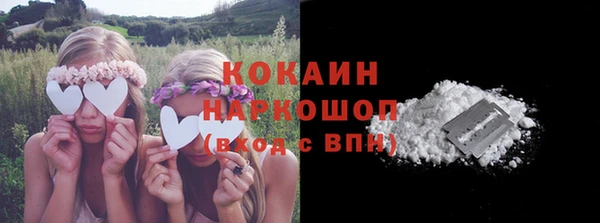 трава Магас