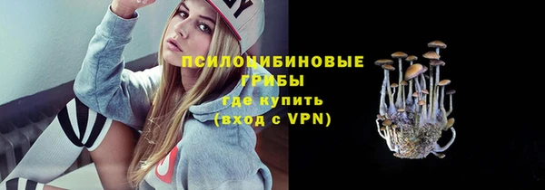 трава Магас
