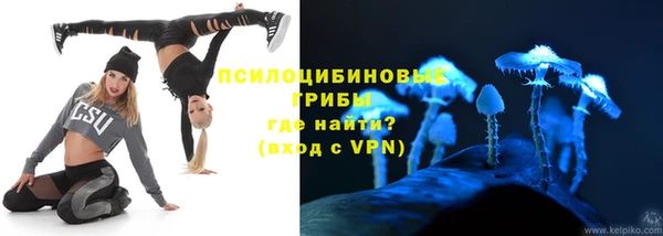 трава Магас