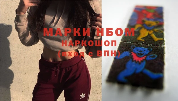 трава Магас